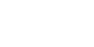 Fortify Properties